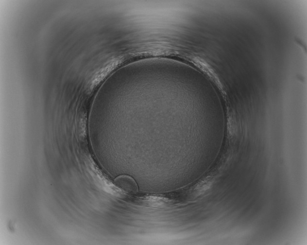 X0000100400393200806131018