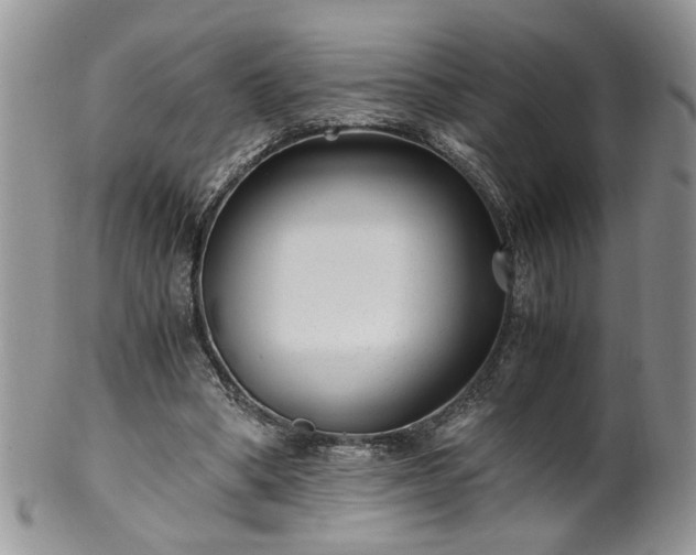 X0000100400394200806131018