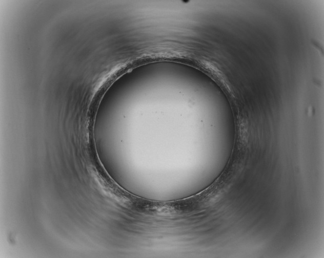 X0000100400395200806131018