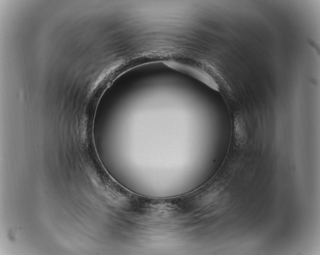 X0000100400396200806131018