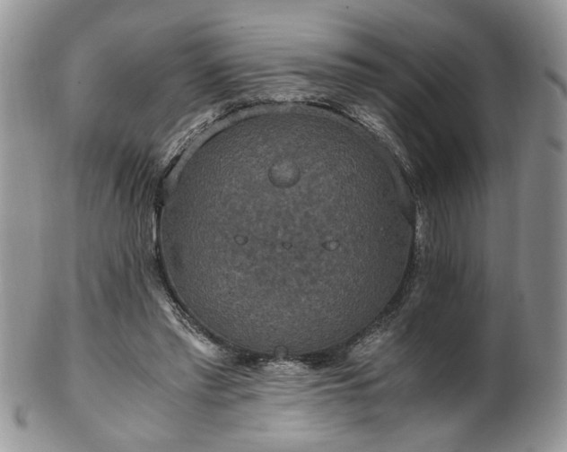 X0000100400397200806131018