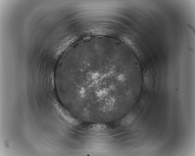 X0000100400398200806131018
