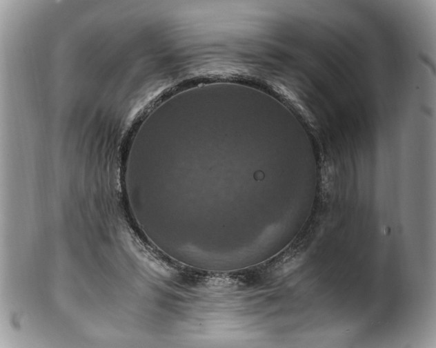 X0000100400399200806131018