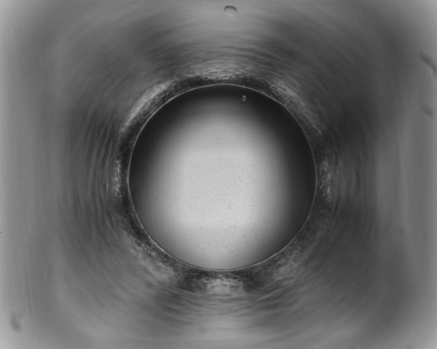 X0000100400400200806131018