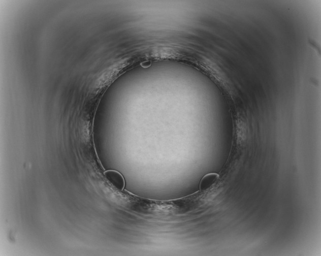 X0000100400401200806131018