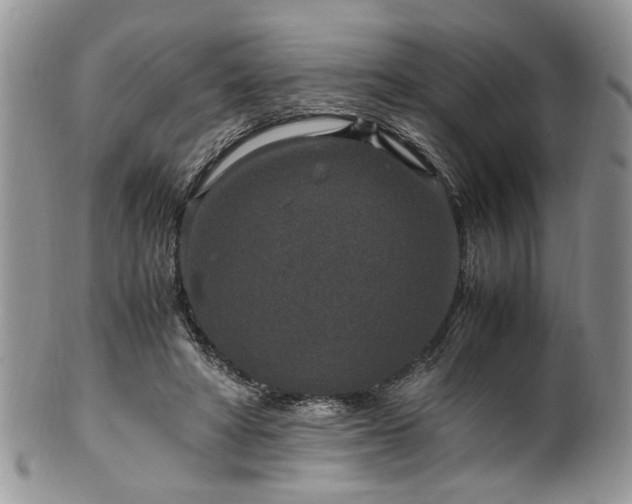 X0000100400402200806131018