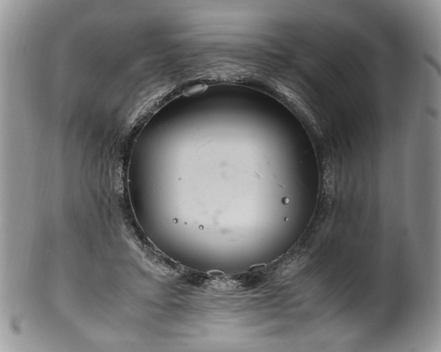 X0000100400403200806131018