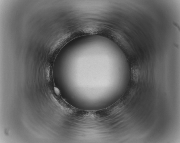X0000100400404200806131018