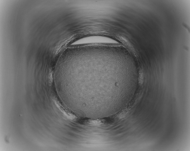 X0000100400405200806131018