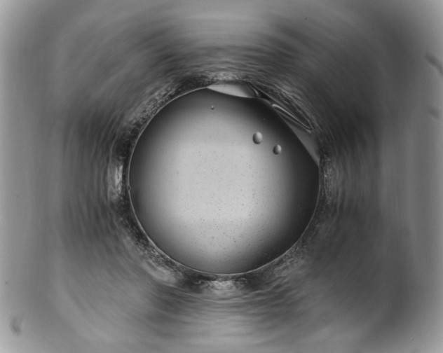 X0000100400406200806131018