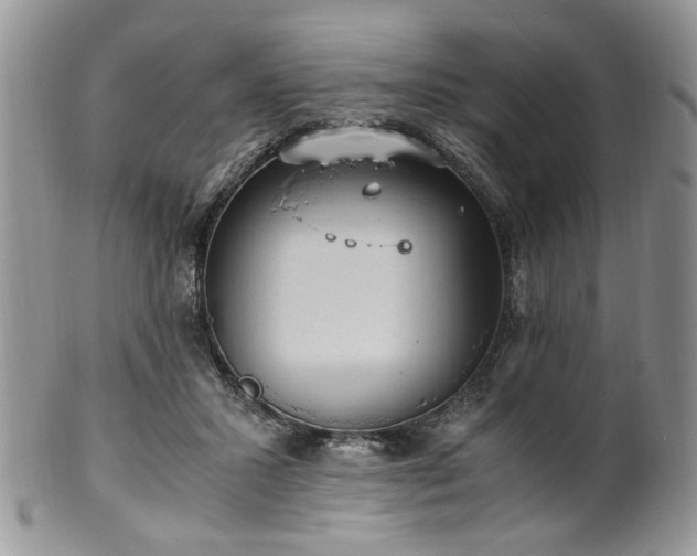 X0000100400407200806131018