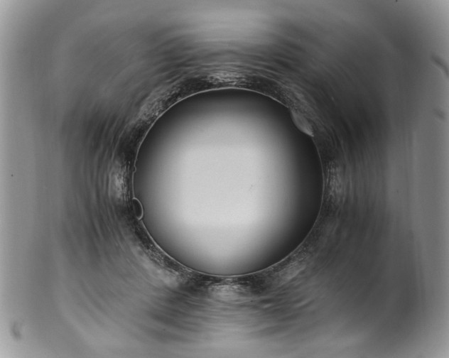 X0000100400408200806131018