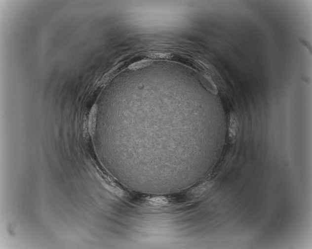 X0000100400409200806131018