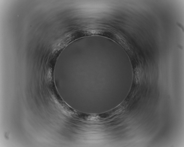 X0000100400410200806131018