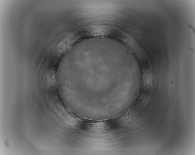 X0000100400411200806131018