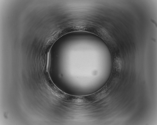 X0000100400412200806131018