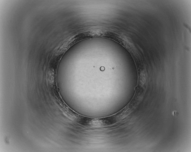 X0000100400413200806131018