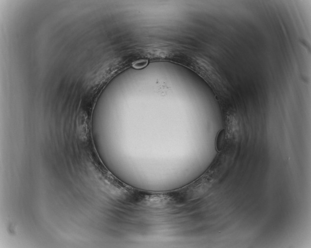X0000100400414200806131018