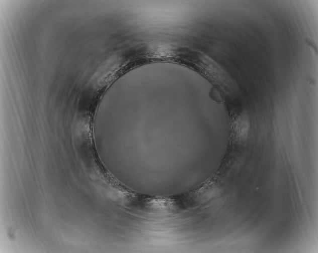 X0000100400415200806131018