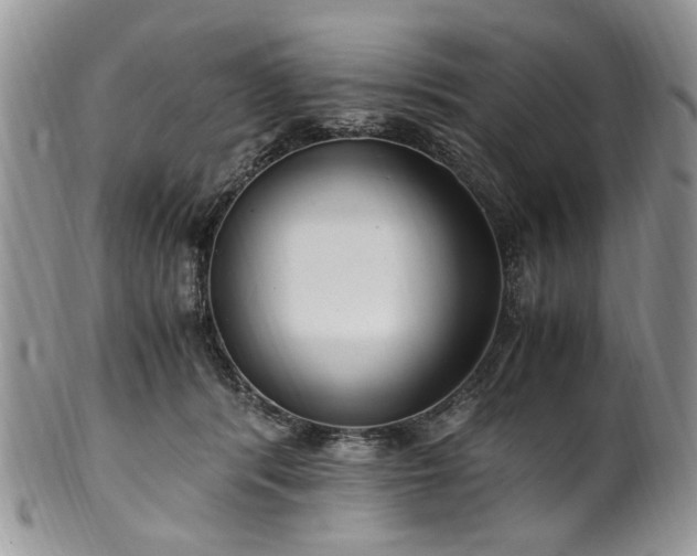X0000100400416200806131018