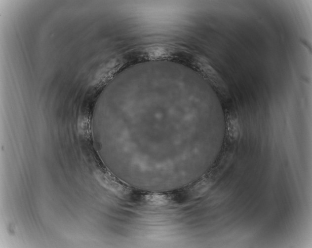 X0000100400419200806131018