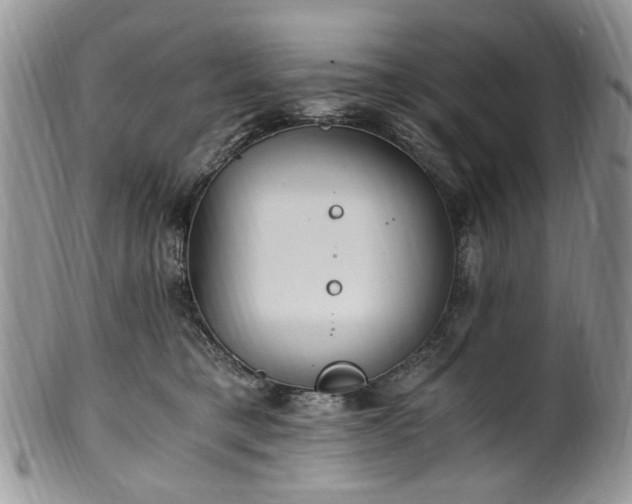 X0000100400421200806131018