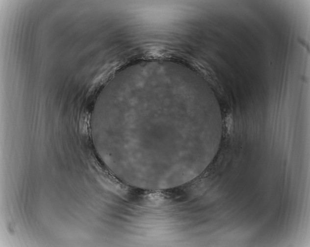 X0000100400423200806131018
