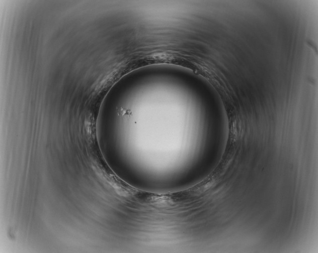 X0000100400424200806131018