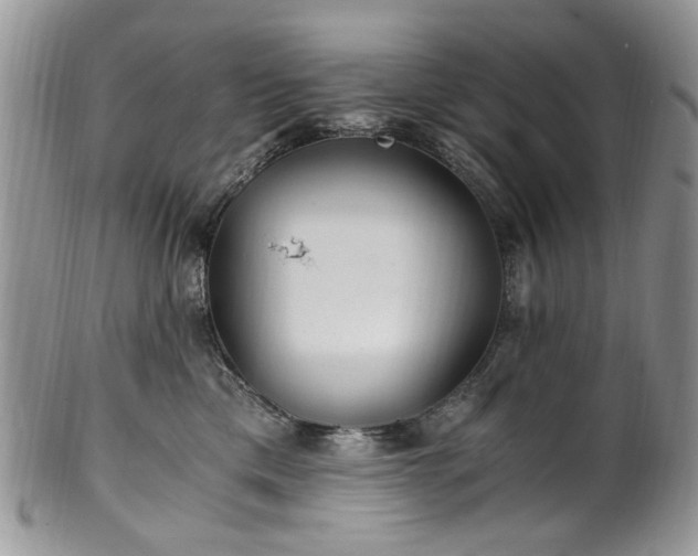 X0000100400425200806131018