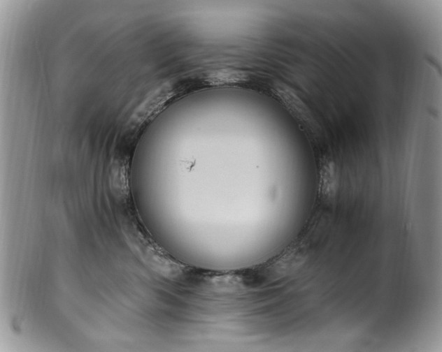 X0000100400426200806131017