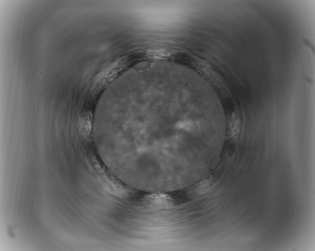X0000100400427200806131017