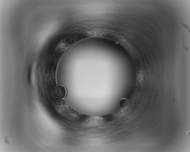X0000100400429200806131017