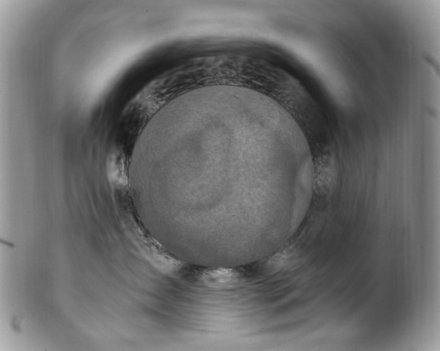 X0000100400431200806131017