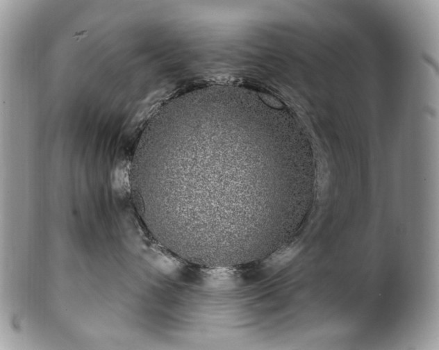 X0000100400432200806131017