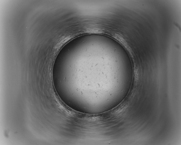 X0000100400433200806131017