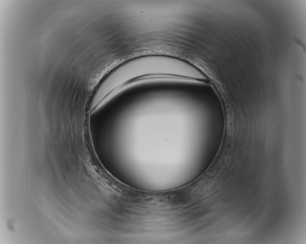X0000100400434200806131017