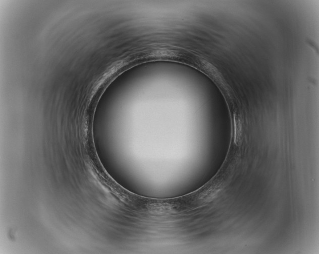 X0000100400435200806131017