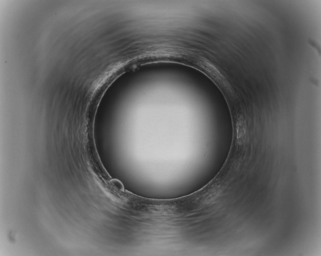 X0000100400436200806131017
