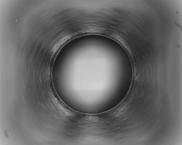 X0000100400437200806131017