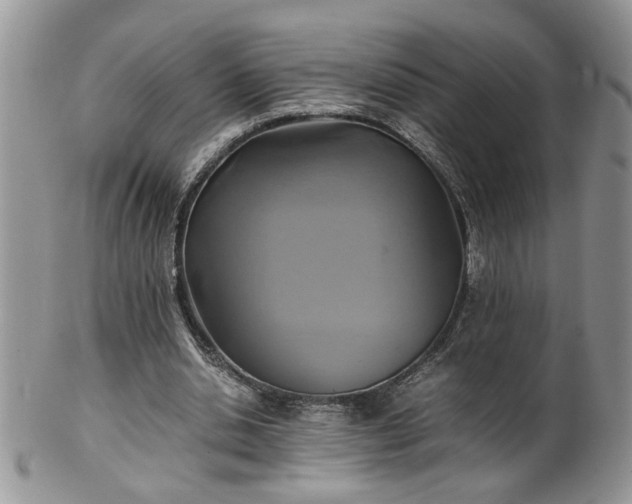 X0000100400438200806131017