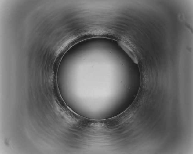 X0000100400440200806131017