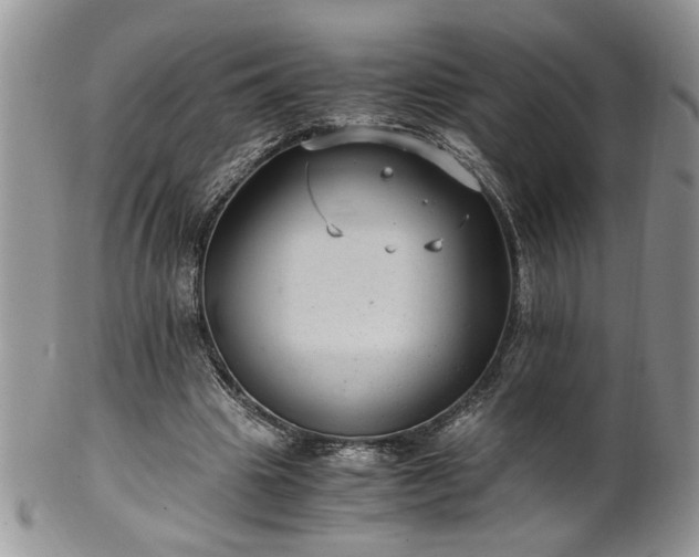 X0000100400441200806131017