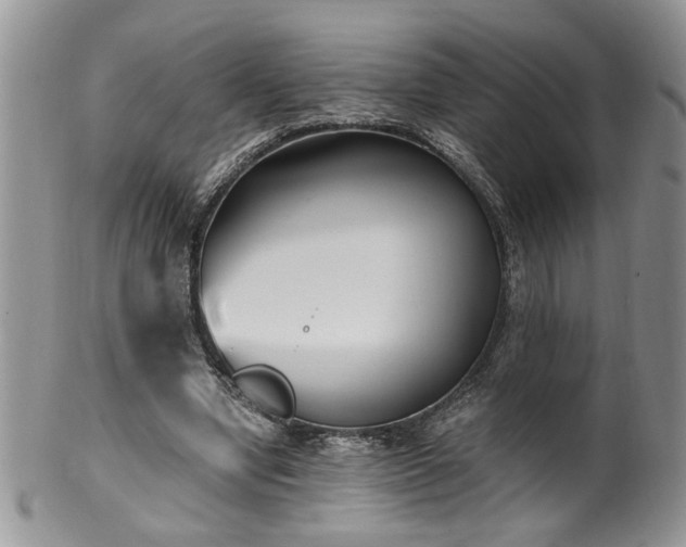 X0000100400442200806131017