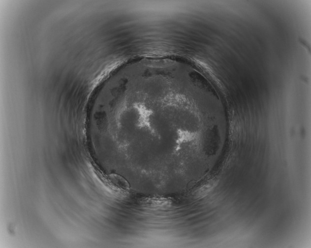 X0000100400443200806131017