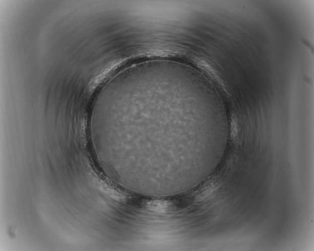 X0000100400444200806131017