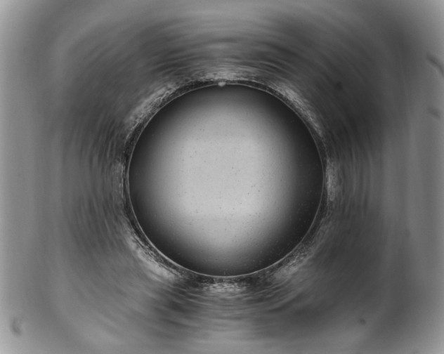 X0000100400445200806131017