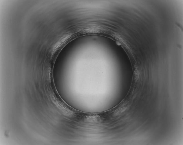 X0000100400446200806131017
