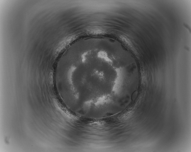 X0000100400447200806131017