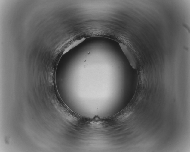 X0000100400450200806131017