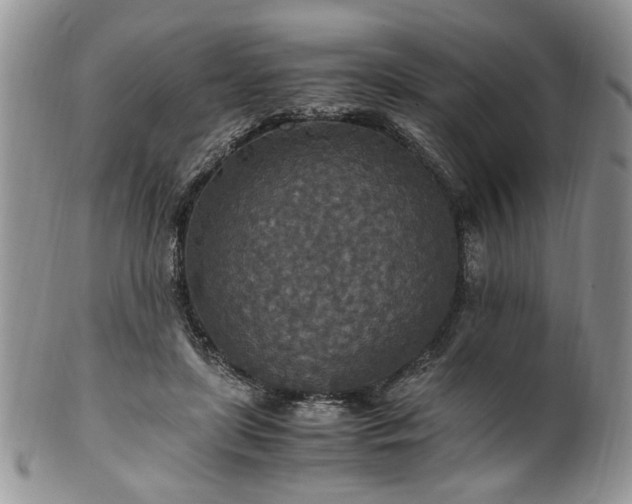 X0000100400451200806131017